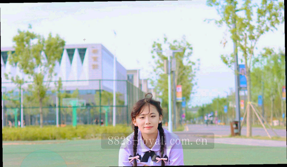 并排双入口示意图，测试版与正式版入口同时可见，标注同为第 12 版